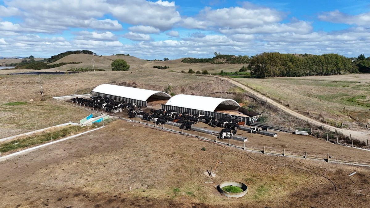 12m x 100ft container shelter over a standoff pad on a dairy farm